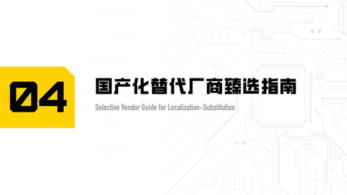 斯元商业咨询 2023年网络安全科技供应链报告